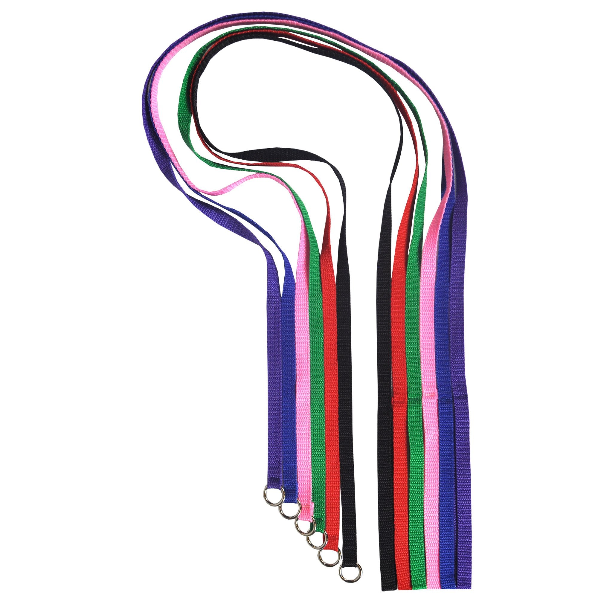 Downtown Pet Supply Slip Lead Dog Leash 6 Pack, 4' X 1/2'' - Universal Dog Leash With Metal O Ring - Machine Washable For Groome